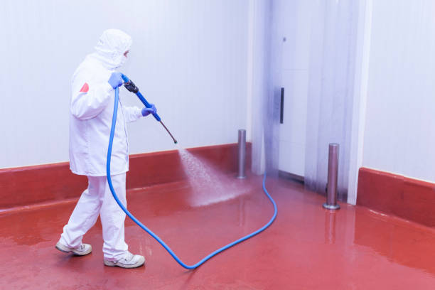 Pre-Holiday Cleaning in Tremont, IL