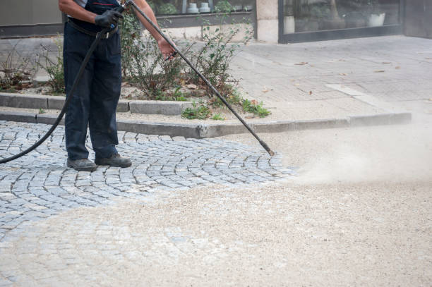 Best Concrete Sealing  in Tremont, IL