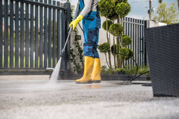 Best Fence Cleaning  in Tremont, IL
